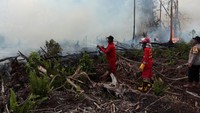 Sejumlah petugas memadamkan kebakaran hutan gambut di Kecamatan Silaut, Kabupaten Pesisir Selatan, Sumatera Barat, Jumat (26/5/2023). 