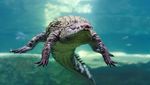 Beragam Aksi Buaya di Dubai Crocodile Park