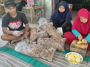 Manisnya Bisnis Dried Lemon, Warga Sidoarjo Cuan Rp 30 Juta Per Bulan