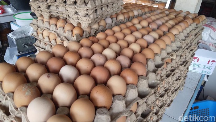 Telur ayam yang tembus Rp 60.000 per rak di Gorontalo.