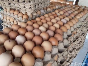 Harga Sembako Jogja Hari Ini 8 Juni 2024: Telur Ayam Rp 27 Ribuan Per Kilo