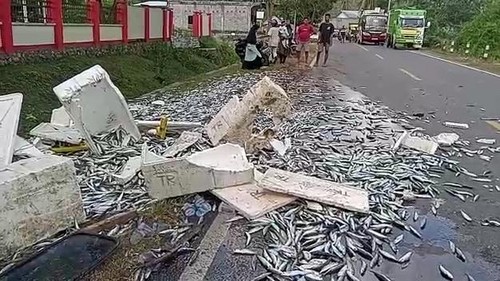 Ikan muatan mobil pikup yang tabrak motor anggota Brimob Dompu dan penampakan jalan Ompu Beko yang sering dilalui oleh kendaraan-kendaraan berukuran besar. (Faruk Nickyrawi/detikBali)