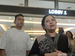 Hasto Sebut Gibran Sudah Pamitan ke Puan: Semula Merah ke Kuning