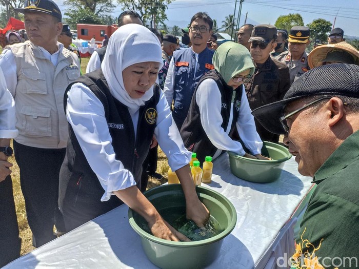 Khofifah belajar membuat biosaka