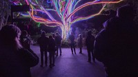 Festival ini membuka forum industri kreatif, pameran publik yang menampilkan seni ukir dan instalasi, dan program musik terkini. 