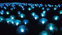 Festival ini digelar setiap tahun selama 18 hari. 