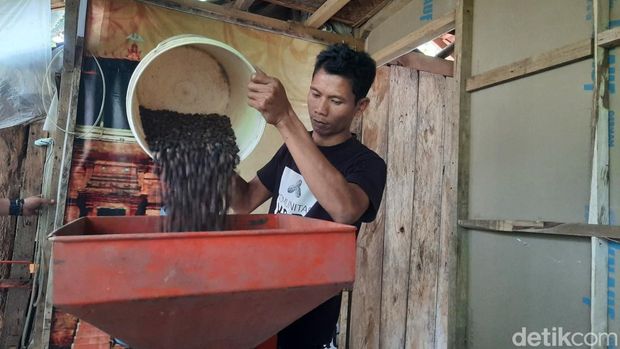 Muhammad Ridho saat memproduksi kopi Muria Zayna di rumahnya, Kecamatan Dawe, Kudus, Sabtu (27/5/2023).