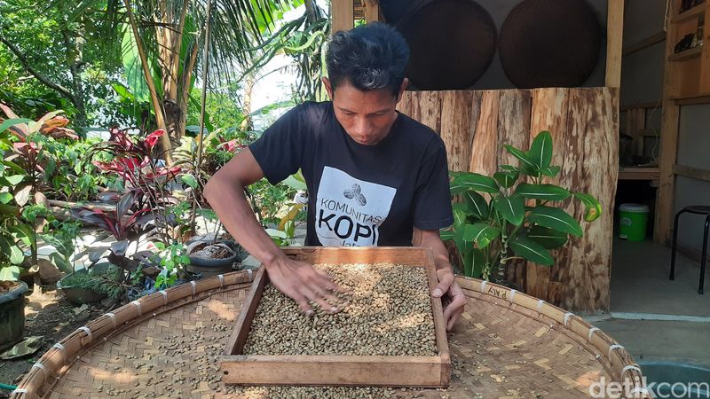 Muhammad Ridho saat memproduksi kopi Muria Zayna di rumahnya, Kecamatan Dawe, Kudus, Sabtu (27/5/2023).