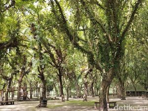 7 Rekomendasi Wisata Blitar untuk Kencan Romantis Bareng Pacar