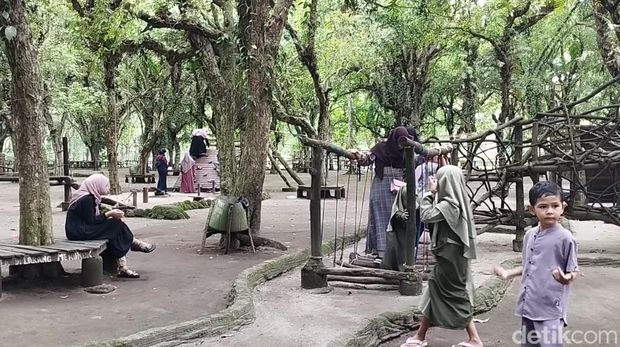 Ngadem di Kesambi Trees Park Blitar bisa berinteraksi dengan rusa