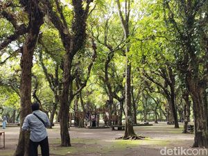 Ademnya Berlibur ke Kesambi Trees Park Blitar, Wisata Plus Edukasi Konservasi