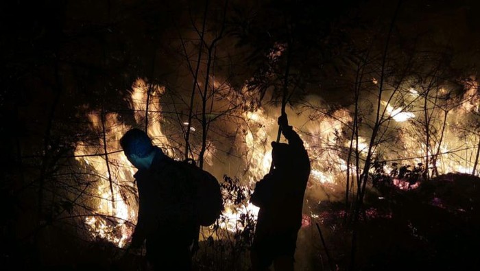 Pemadaman kebakaran Gunung Welirang di wilayah Pasuruan