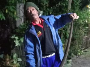 Hii! Kobra Jawa Jumbo Ditangkap Usai Satroni Rumah Warga Klaten