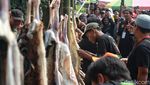 Unik, Ada Lomba Menguliti Kambing di Lebaran Tenabang