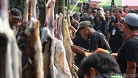 Tahun ini, 10 peserta mengadu kecepatan menguliti kambing yang sudah dipotong.  