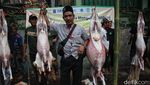 Unik, Ada Lomba Menguliti Kambing di Lebaran Tenabang