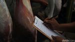 Unik, Ada Lomba Menguliti Kambing di Lebaran Tenabang