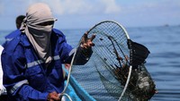 Sampah yang mengambang di atas air diangkat ke perahu. 