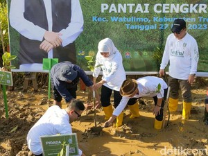 Festival Mangrove VI Trenggalek, Kontribusi Jatim Untuk Oksigen Indonesia