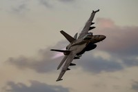 McDonnel Douglas F/A-18 Hornet