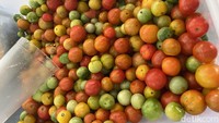 Salah satu pelayan bertugas mengulek sambal. Bahan yang diperlukan untuk sambal rampai juga tak dirahasiakan, di antaranya ada cabe rawit hijau, cabe rawit merah, terasi udang, penyedap rasa, bawang merah, dan tomat rampai. Foto: detikFood/Yenny Mustika Sari