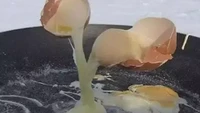 Bukan memasak telur di kompor, netizen ini memasak telur di atas salju. Hasilnya telurnya menjadi beku dan tampak melayang. Foto: 1cak.com