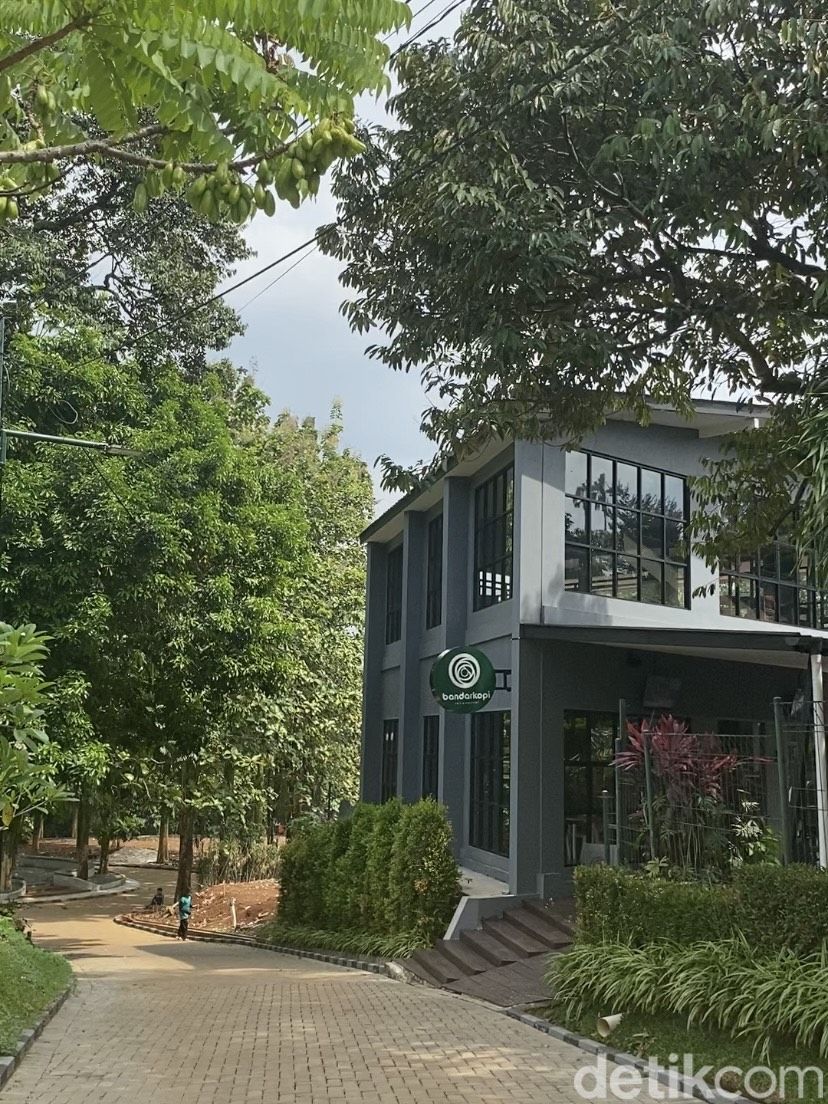 Bandar Kopi, tempat ngopi 'hidden gem' di Lebak Bulus yang asri dan bisa melihat rusa.