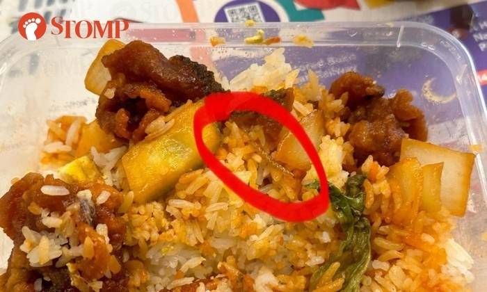 Ekstra Protein! Pembeli Ini Dapat 'Bonus' Ulat Goreng yang Dikira Ikan Teri