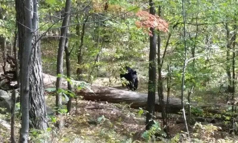 Foto dengan kisah seram