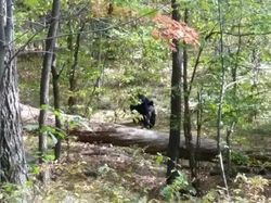 Foto Ini Tampak Biasa Tapi Kisah di Baliknya Sangat Menyeramkan
