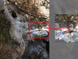 Foto Ini Tampak Biasa Tapi Kisah di Baliknya Sangat Menyeramkan