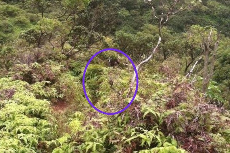 Foto dengan kisah seram