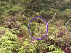 Foto Ini Tampak Biasa Tapi Kisah di Baliknya Sangat Menyeramkan