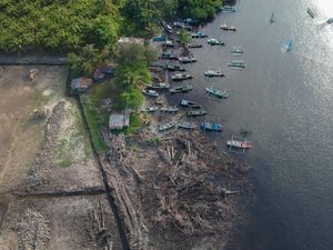 Foto Udara Kawasan Mangrove yang Rusak di Bengkulu