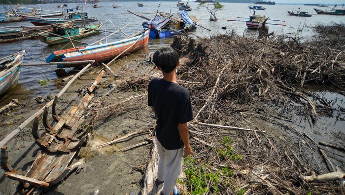 Foto udara kondisi mangrove yang rusak di Teluk Sepang, Kampung Melayu, Kota Bengkulu, Provinsi Bengkulu, Minggu (28/5/2023). Data Komunitas Mangrove Bengkulu, dari total 155,24 hektar luas hutan mangrove di kota itu rusak akibat pencaplokan lahan seluas 6,5 hektare area dan abrasi pantai seluas 2,5 hektare area. ANTARA FOTO/Iggoy el Fitra/nz