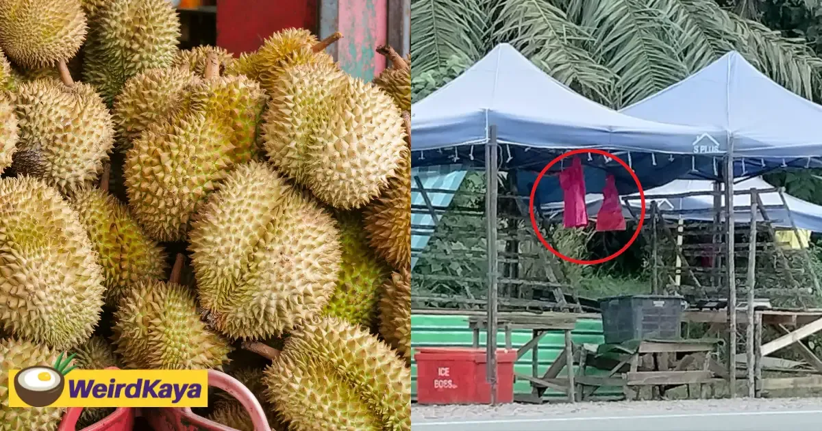 Kacau! Pria Ini Borong Durian Rp 9,7 Juta dan Langsung Kabur
