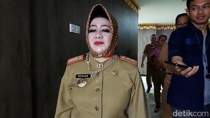 Kepala Dinas Kesehatan Lampung, Reihana