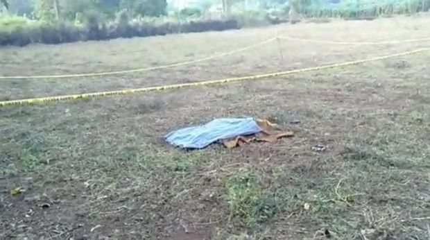 Lokasi wanita Bangkalan yang ditemukan tewas dengan leher nyaris putus.