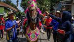 Melihat Festival Budaya Tradisional Sunda Kuda Renggong di Sumedang