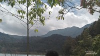 Dikelilingi pohon yang rindang