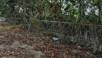 Berdasarkan pantauan detikcom di lokasi, Senin (29/5/2023), sisi utara jalan layang ini yang berhubungan langsung dengan JL. Pluit Barat Raya telah ditutup dengan tumpukan tanah dan beton pembatas jalan. Banyak rerumputan dan tumbuhan merambat menyelimutinya.