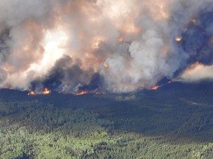 Demi Hilangkan Asap Kebakaran Hutan, Kanada Berharap Pada Hujan