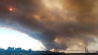 Setidaknya 10 rumah telah terbakar oleh kebakaran hutan hingga Minggu malam. Keadaan darurat akan berlaku selama tujuh hari, kecuali dicabut atau diperpanjang, kata pemerintah Halifax. REUTERS/Meenakshi Guchhait  