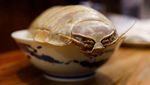 Restoran ini Sajikan Ramen dengan Topping Kecoa Raksasa