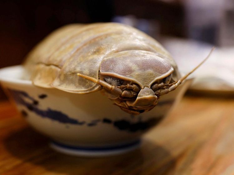 Restoran ini Sajikan Ramen dengan Topping Kecoa Raksasa