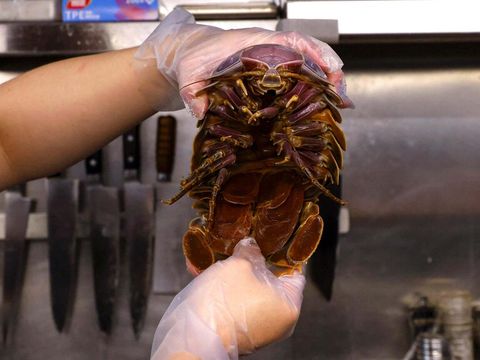 General Kiang, 28, one of the two reserved customers eats the giant isopod in Taipei, Taiwan May 27, 2023. REUTERS/Ann Wang