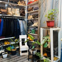 Penampakan rak-rak yang dipenuhi dengan koleksi baju, tas, dan sepatu yang terlihat tertata rapi. Untuk mempercantik ruangan juga terdapat beberapa tanaman-tanaman hias. Foto: Facebook/Miykal Chun