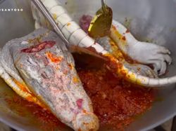 5 Makanan Ini Terbuat dari Daging Buaya, Ada Pizza dan Seblak!