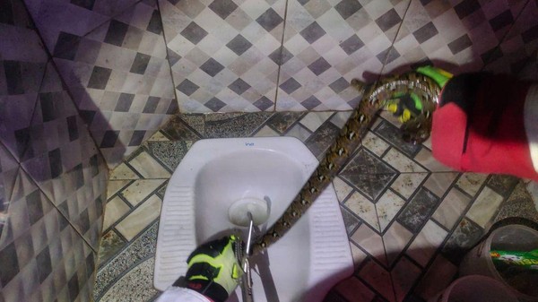 Sochli yalangoch uyqu video Xitoylik ayol sikishmoqda (foto)