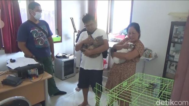 Warga Banyuwangi gelar hajatan khitan 3 kucingnya